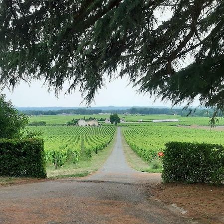 Bed and Breakfast A L'Ombre De La Treille -Proche Saint-Emilion Zewnętrze zdjęcie